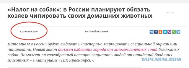 В Думу внесен законопроект об обязательной регистрации собак и кошек