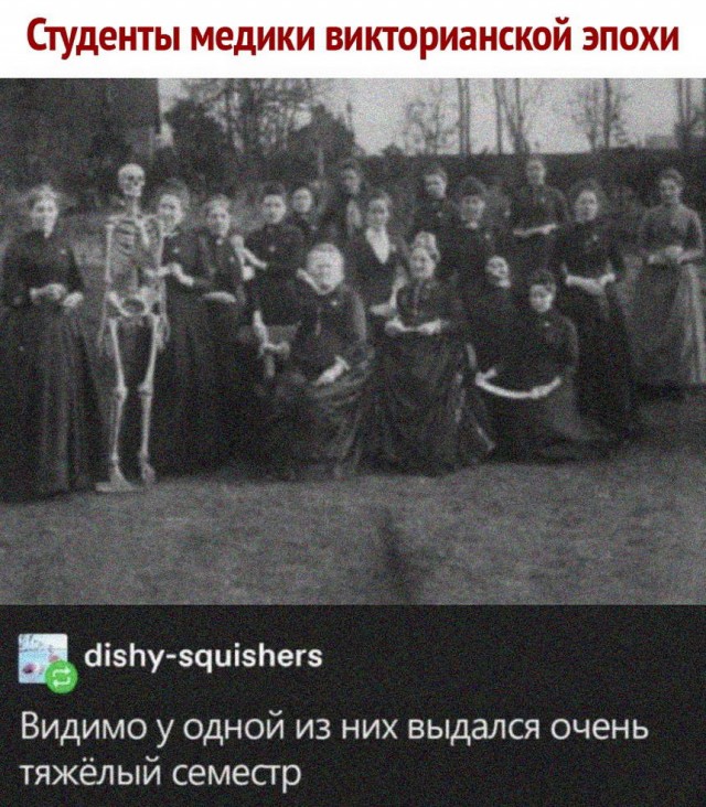 Картинки и мемы для настроения 14.04.2021