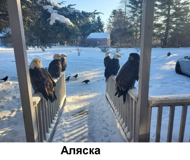 Картинки на вчера