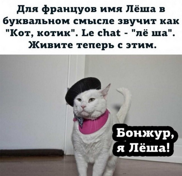 Всяческие картинки 19.10.2021