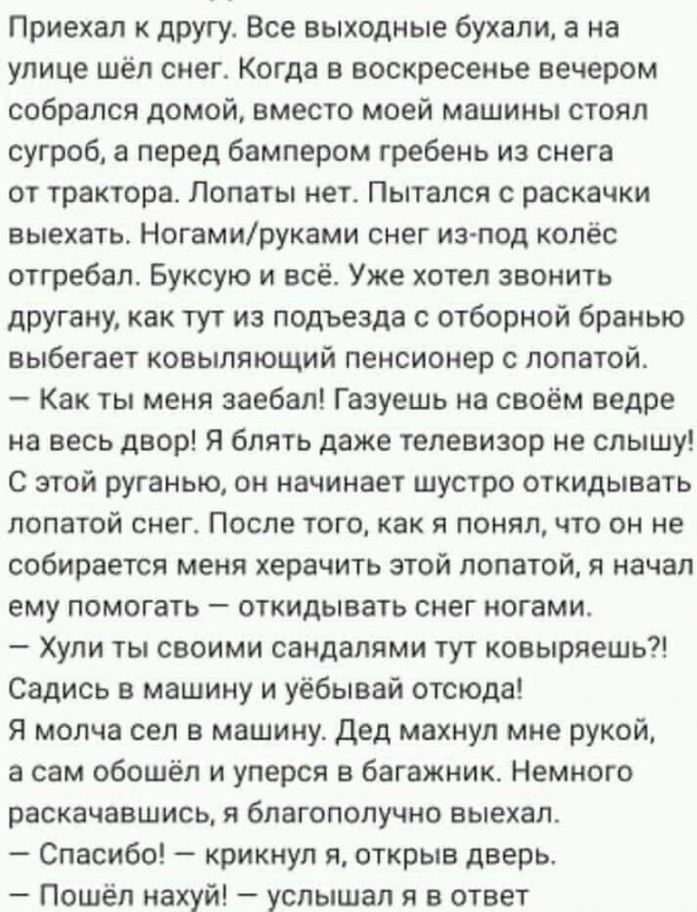 Всяческие картинки 17.11.2021