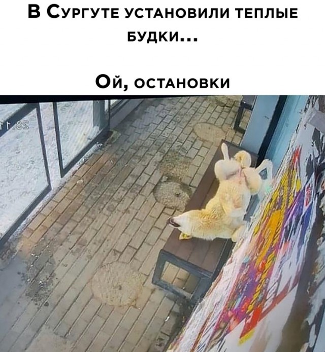 Картинки и мемы для настроения 01.12.2021