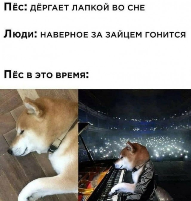 Так себе картинки 13.12.21