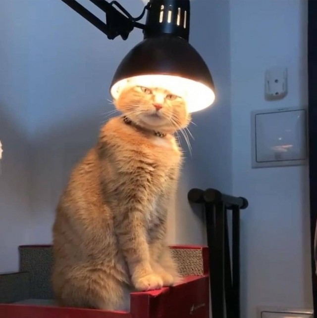 Мистер Эндорфин