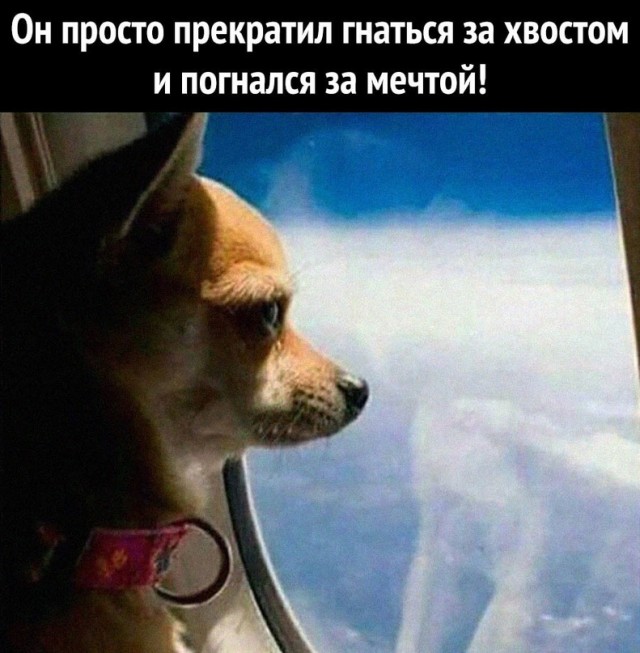 Картинки и мемы для настроения - 22