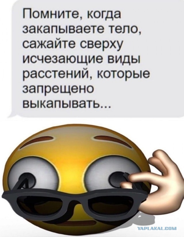 Картинки аморальные и всякие разные - 26