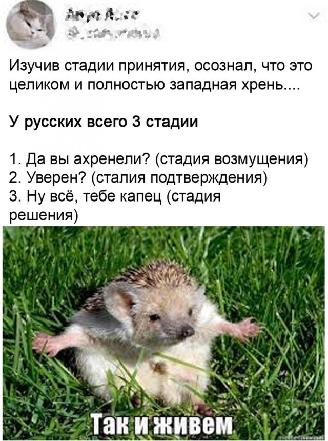 Так себе картинки 24.03.22