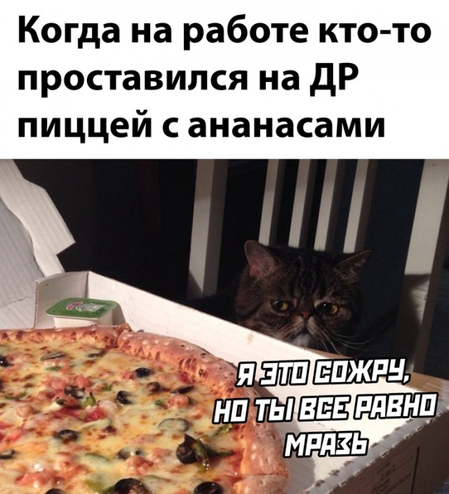 Весёлый полтишок 06.04.22