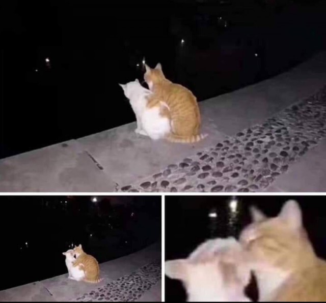 Весёлые картинки 13.04.2022