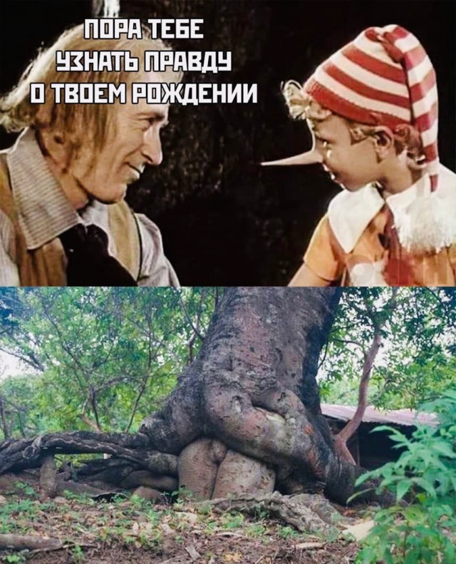 Так себе картинки 17.04.22