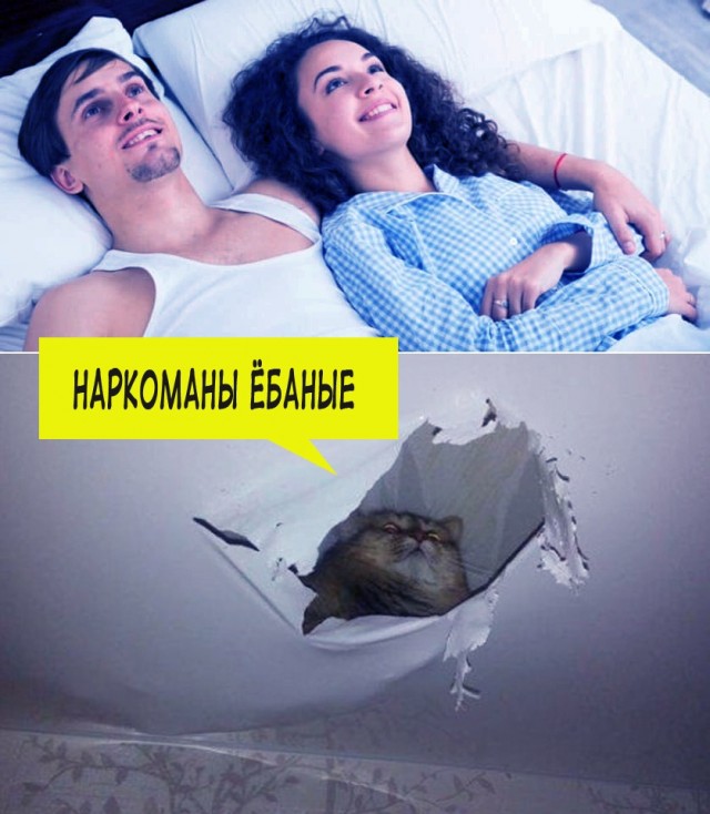 Картинки аморальные и всякие разные - 31