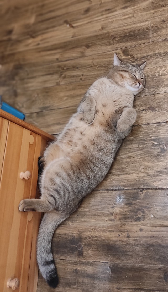 Кот д’Ивуар
