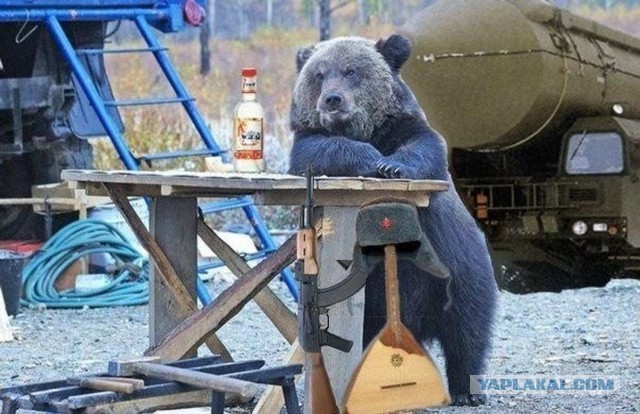 Не медли, зима близко