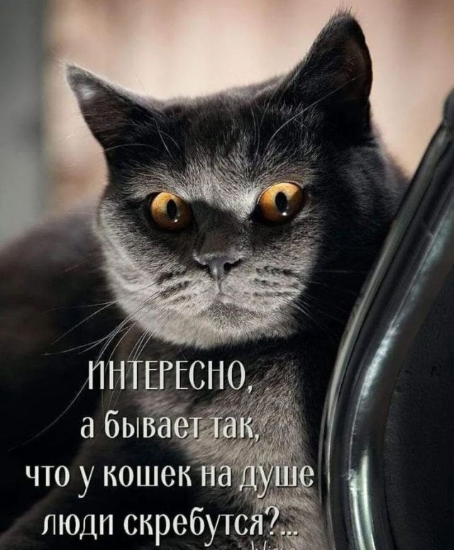 Так себе картинки 04.09.22