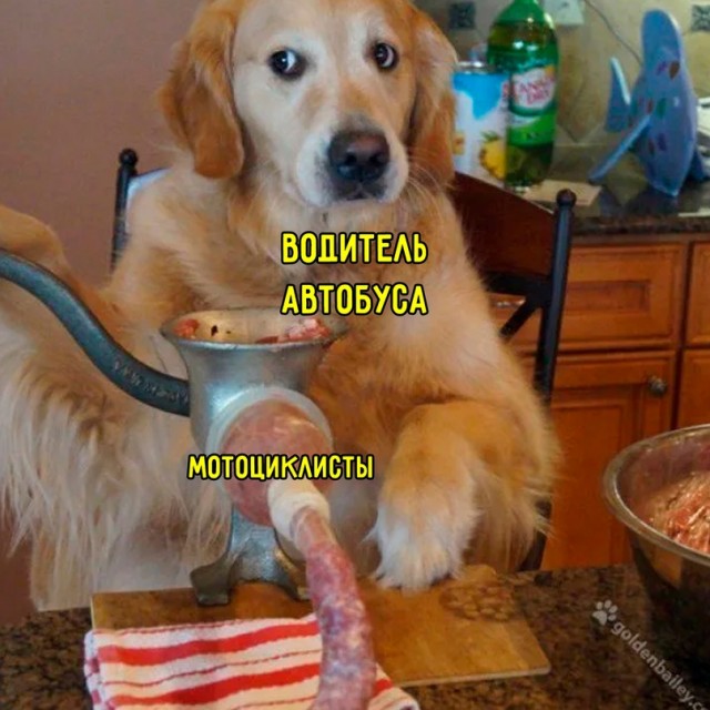 Весёлый полтишок 13.09.22