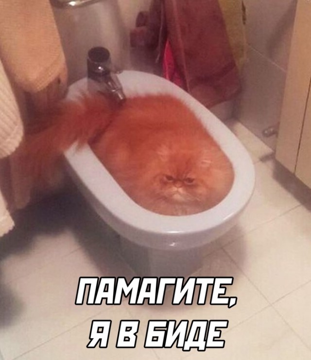 Картинки и мемы для настроения - 21