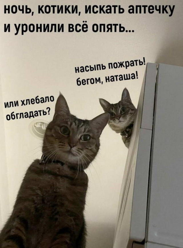 Картинки и мемы. Выходные близко...