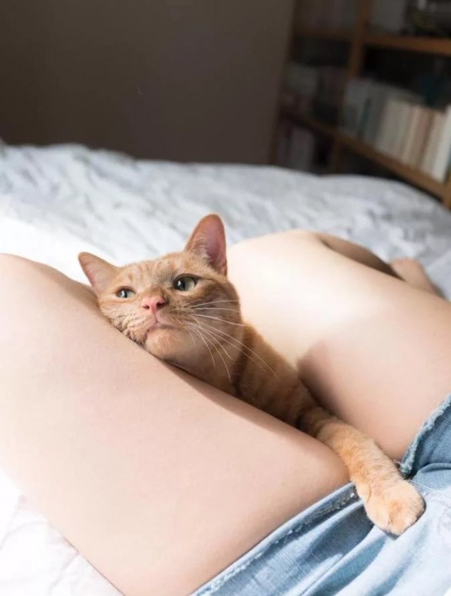 Кисковторник для взрослых