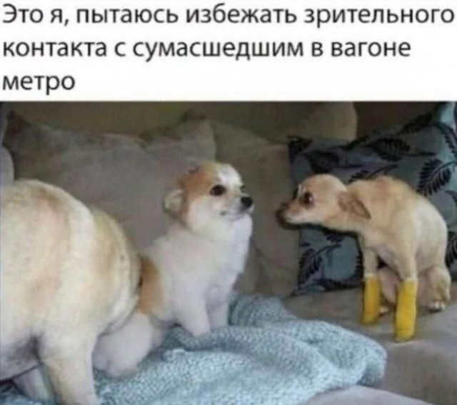 Картинки и мемы, всем хороших выходных