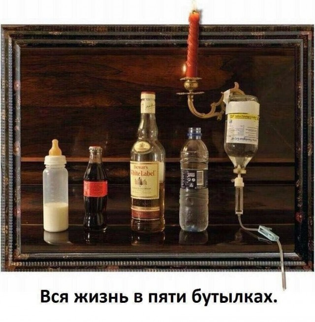 Всё тлен