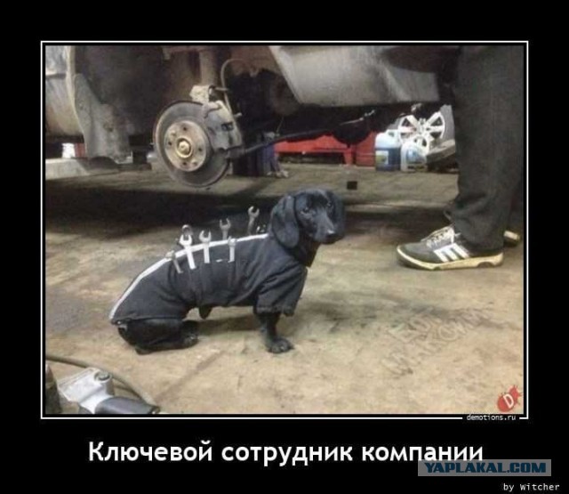 38 разных картинок для настроения (1)