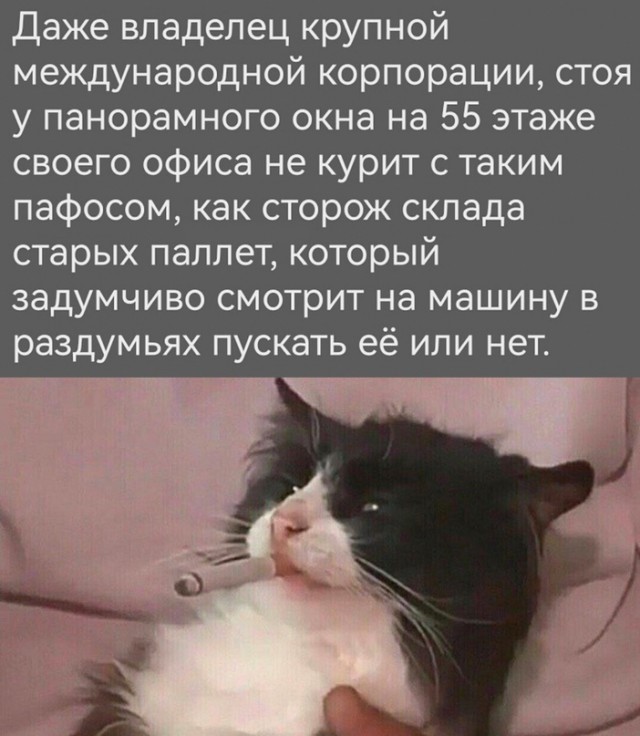 Весёлый полтишок 21.08.23