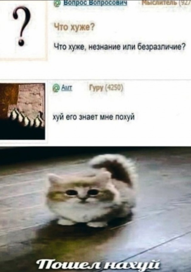 Всего понемногу. От 05.10.23