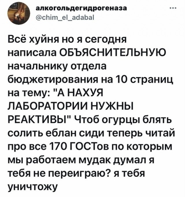 Забавные комментарии из социальных сетей 06.11.23