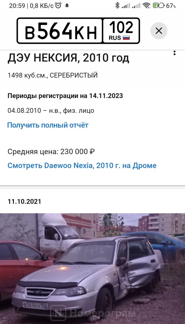 Шакалы в городе. Кровь на снегу.