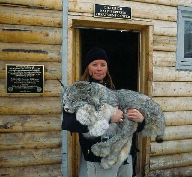 Мощный наезд на городских женщин от женщины из деревни