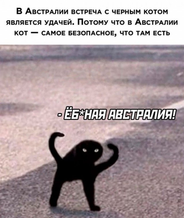 Народная меДИЧина 23