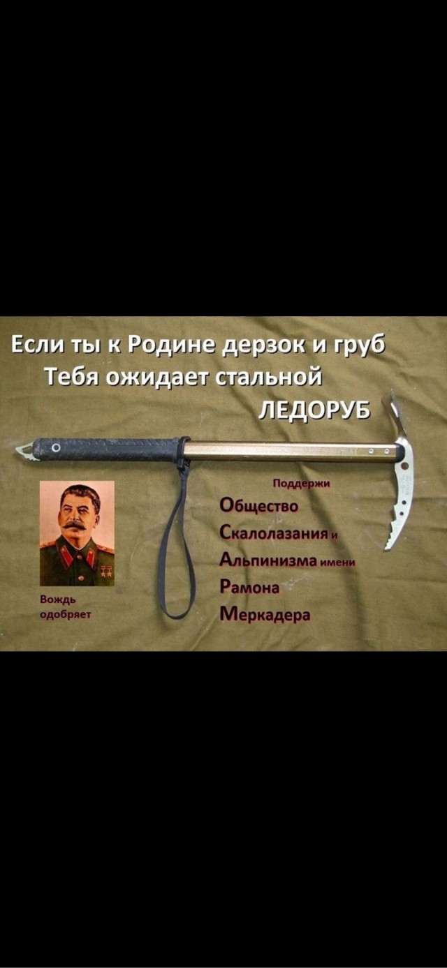 У школы Петербурга задержали девушку, бросившую коктейль Молотова в плакат о выборах