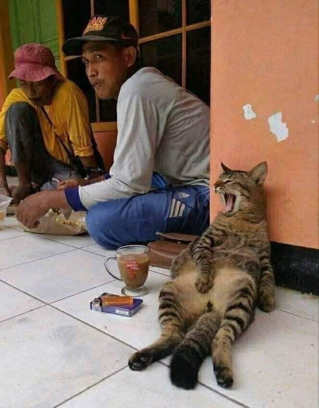 С добрым утром