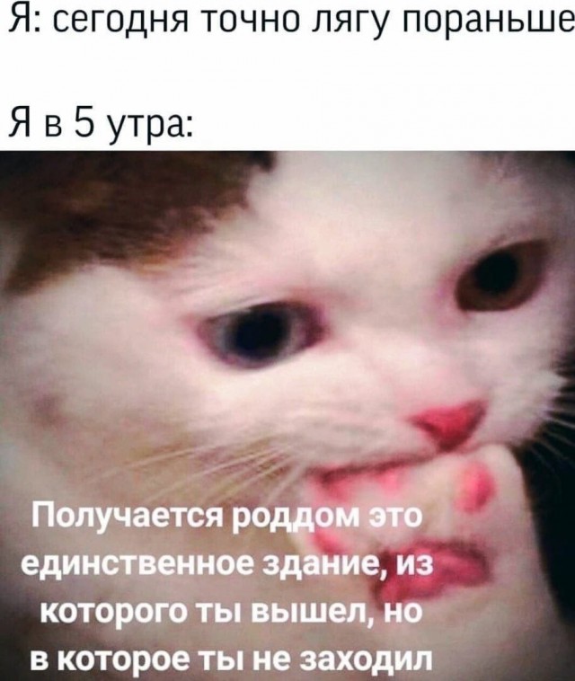 ТРРРидцать тРРРи от 21 мая