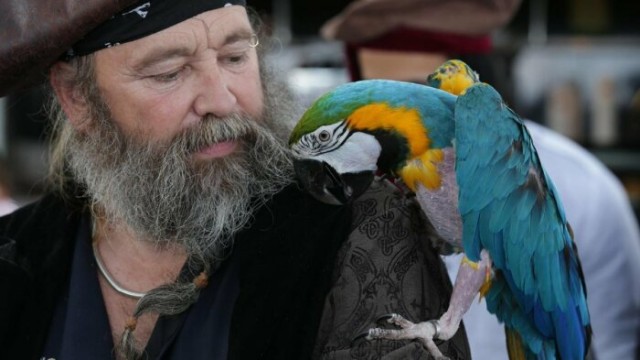 Для чего на самом деле пираты заводили попугаев