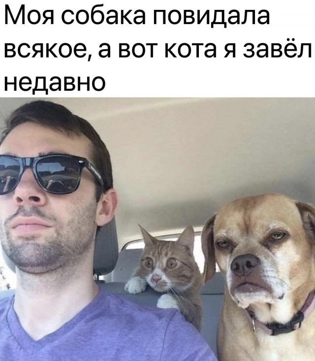 Картинки разные с надписями и без