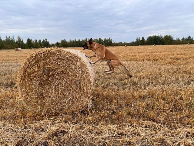 ФотоВинегрет