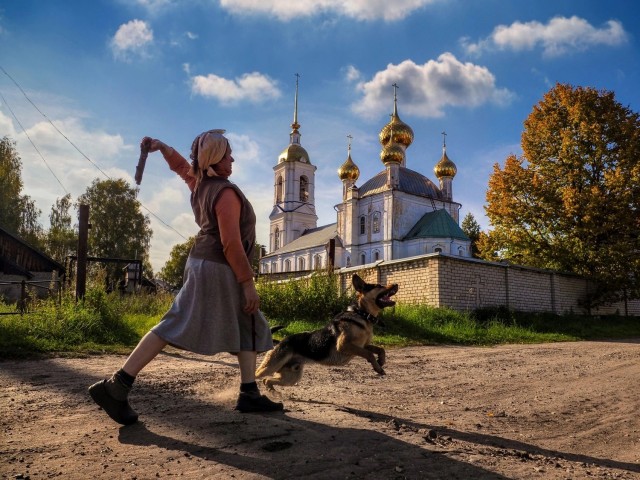 Эх, люблю я Петросяна.