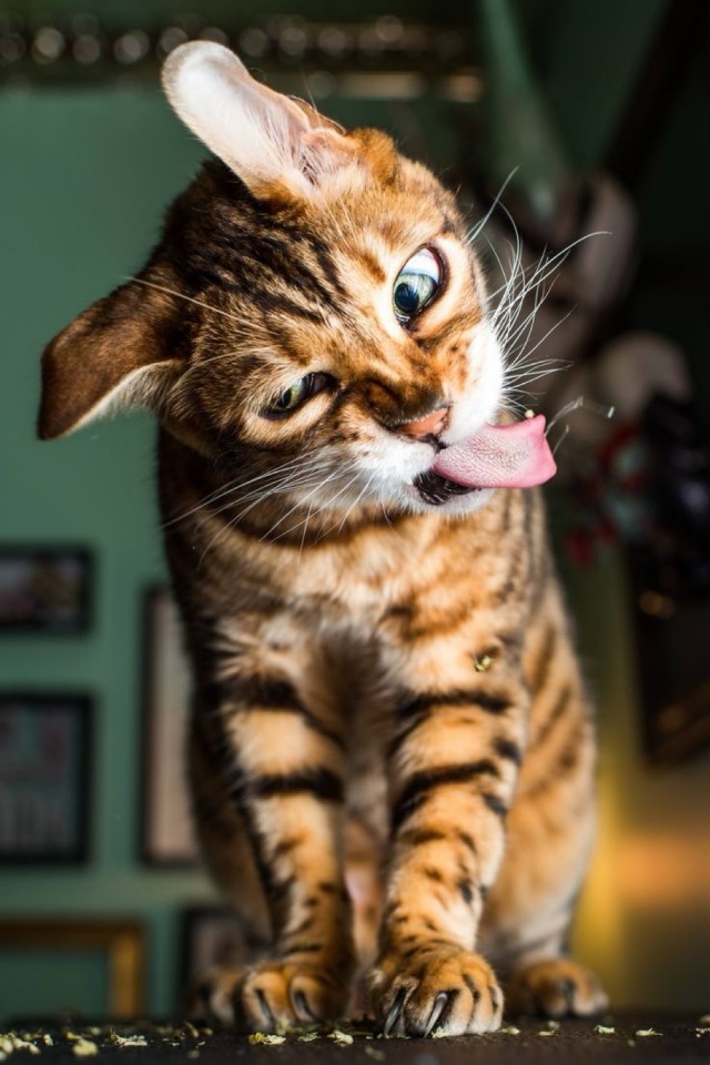 Прикольные и просто красивые картинки 12.11.2024