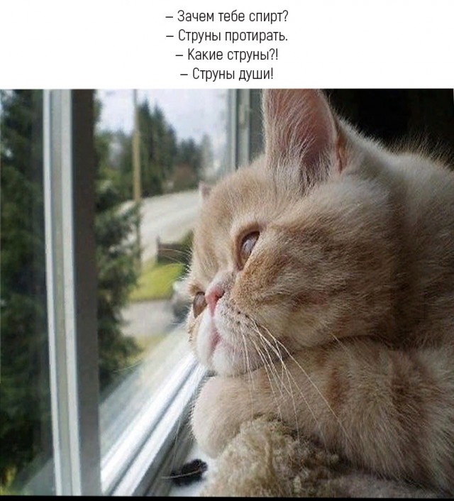 Прикольные и просто красивые картинки 13.12.2024