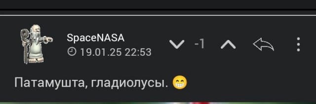 История одной лужи