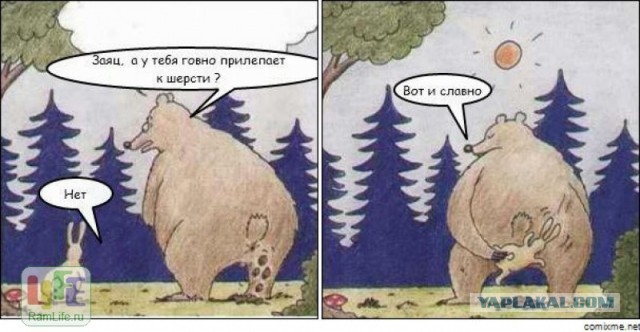 "Вы даже не представляете, насколько мне пофиг"