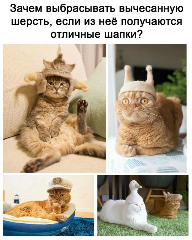 Картинки вечером в четверг