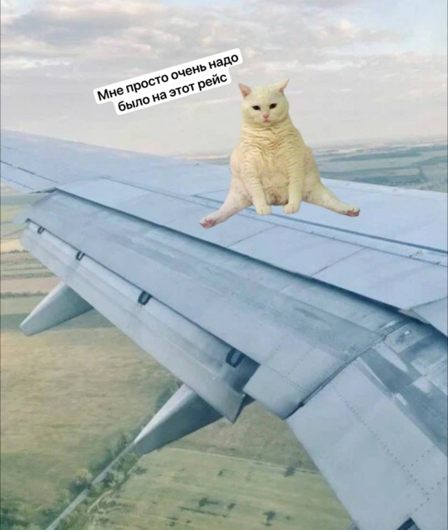 «Аэрофлот» предложил Минтрансу узаконить овербукинг, позволяя авиакомпаниям продавать неограниченное число билетов на рейс.