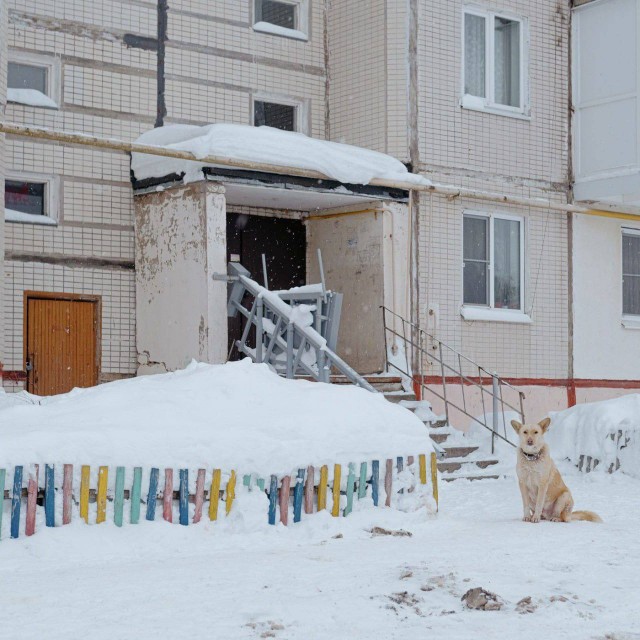 Прикольные и просто красивые картинки 21.02.2025