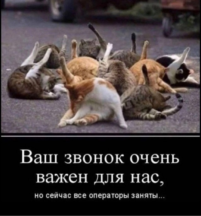 Забежала пожелать хорошего настроения!