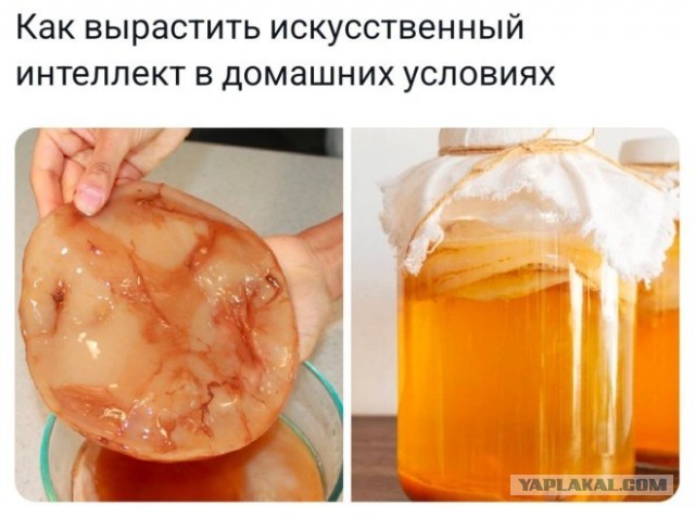 Юмор для тех, кто уже повзрослел и понял, что «готовка» — это разогреть вчерашний суп