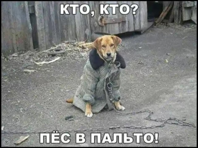 Так себе картинки 14.10.25