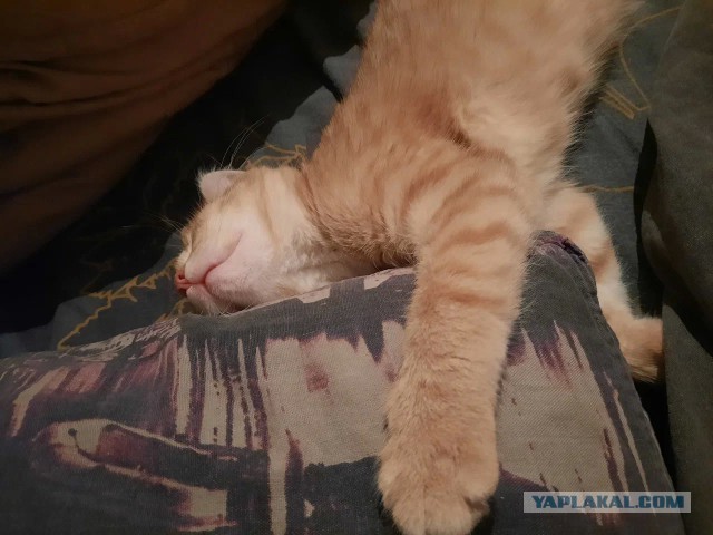 Деня, мы забухали.