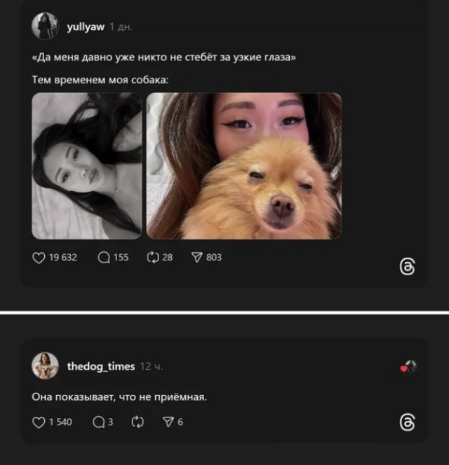 Веселые картинки в маленькую пятницу (25.02)